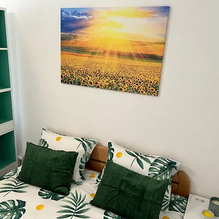 아파트 Sunflower Centar Free Parking 사라예보