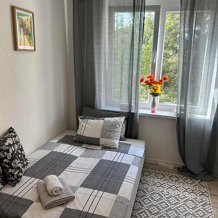 Suncokret * Sarajevo