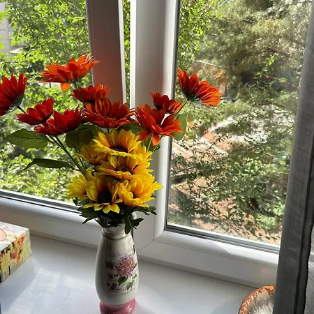 Suncokret Апартаменты *