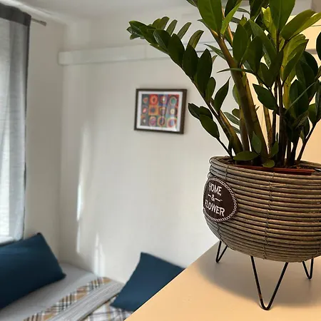 Апартаменты Suncokret *