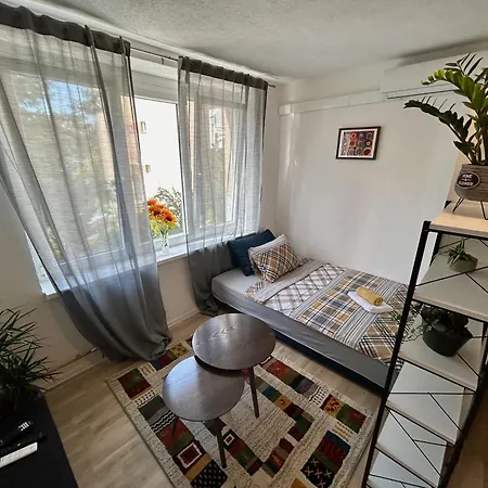 Suncokret * 사라예보