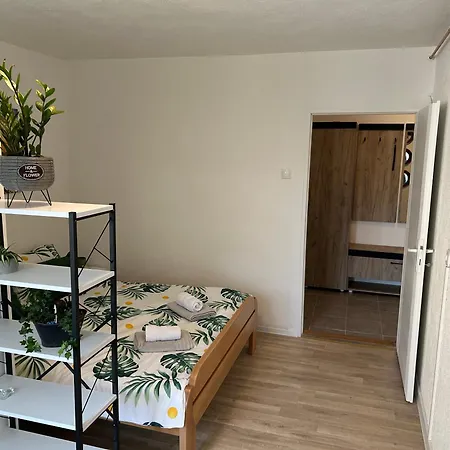Sunflower Centar Free Parking 아파트 사라예보