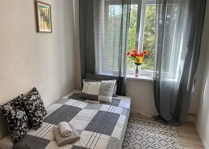 Suncokret * Saraievo