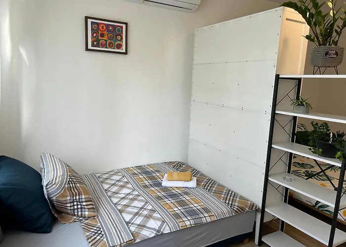 Suncokret * Saraievo