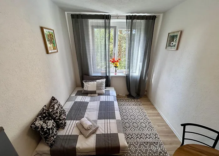 Suncokret * Saraievo