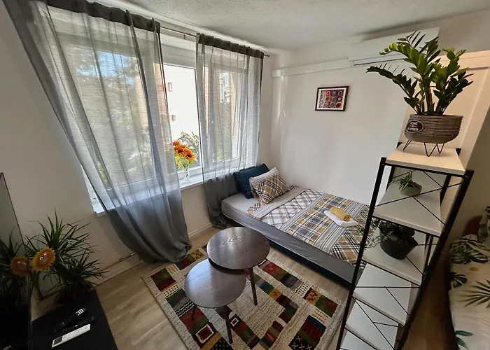 Suncokret * Saraievo